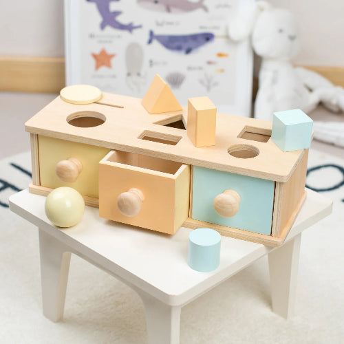 jeu de tri montessori 6formes